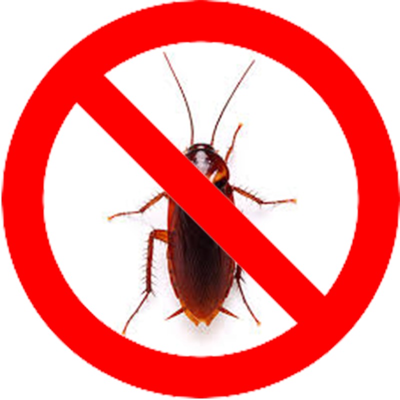 cockroach-pest-control-cockroach-control-treatment-uae