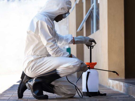 ant control service