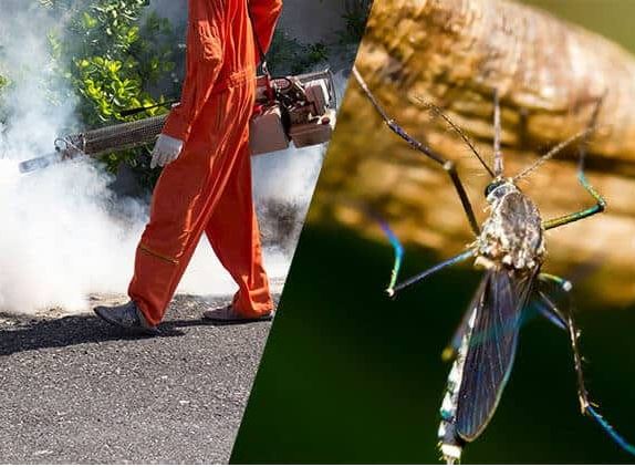 mosquito control