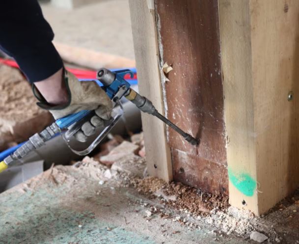 termite control